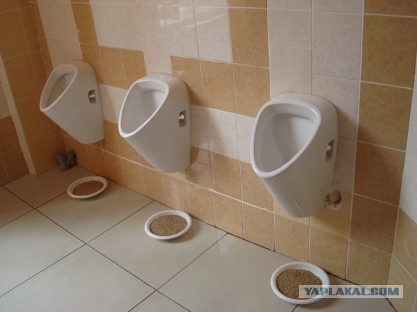 Киев
