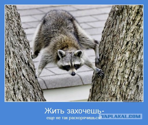 Забрал электриков