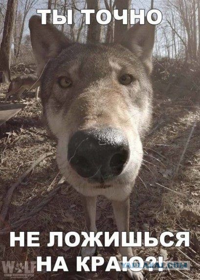 Мужчина назвал меня "неликвидом" из-за татуировки