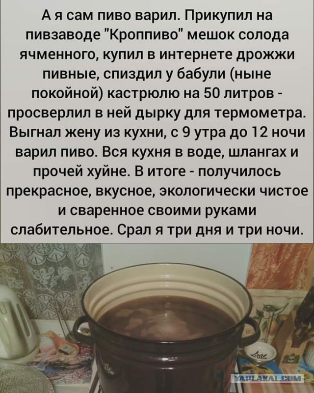 А не сварить ли нам пивка!
