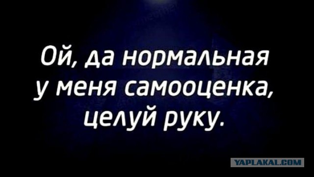 50 оттенков серого Vol.5 . Или самосвал баянов