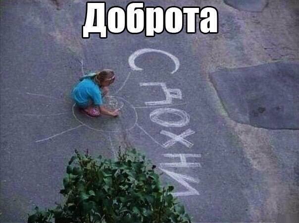 Так себе картинки 09.05.22