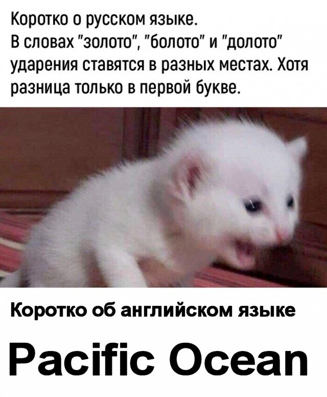 Немного юмора, гуманитарного - 4