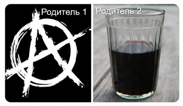 Весёлый полтишок 08.11.22