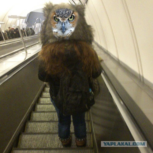 Здравствуй, мой плюшевый мишка!