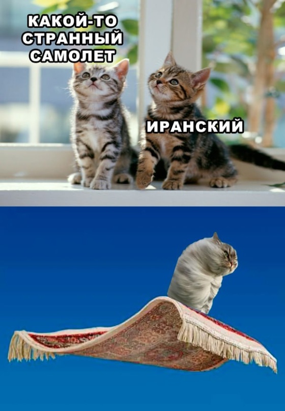 Картинки и мемы для настроения - 131