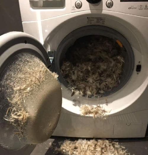 Пару котлет