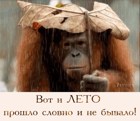 Нуштош 06.07.2023