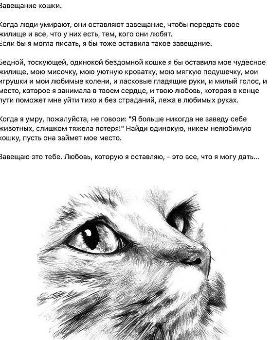 Месяц, как с нами