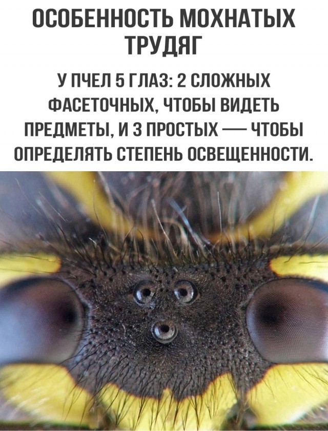 Всяко-разно