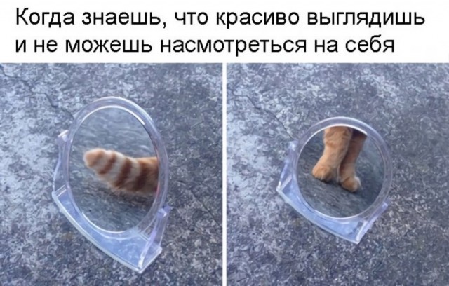 Куча мала баянистых картинок