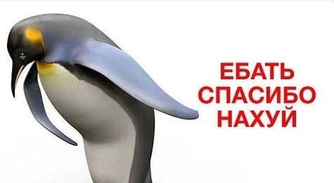Факт дня, коллеги.