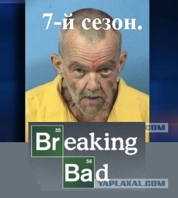 Американец до смерти занасиловал павлина