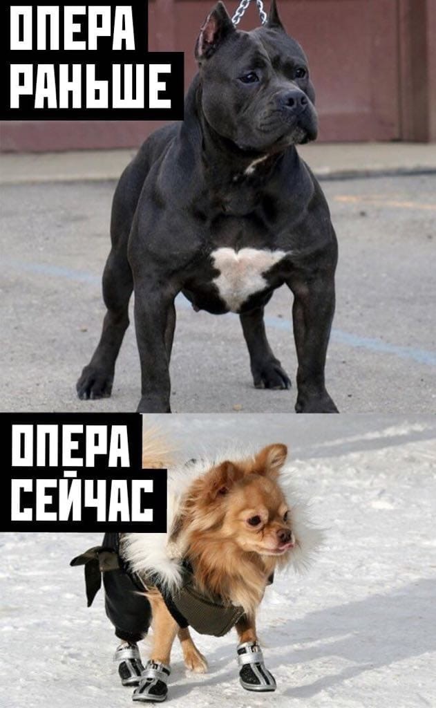 Быть опером это