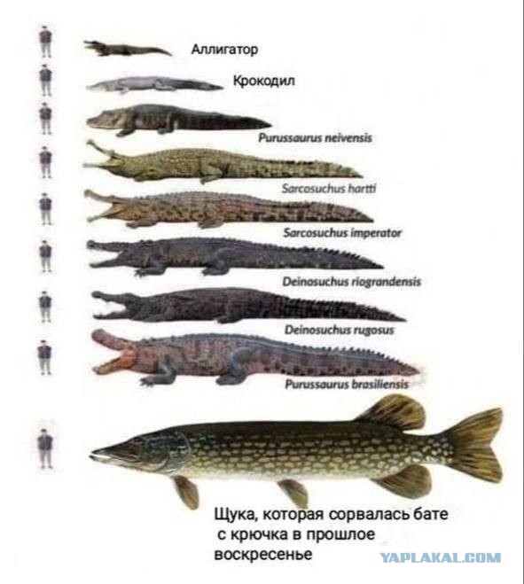 Погода подвела, а может и не погода
