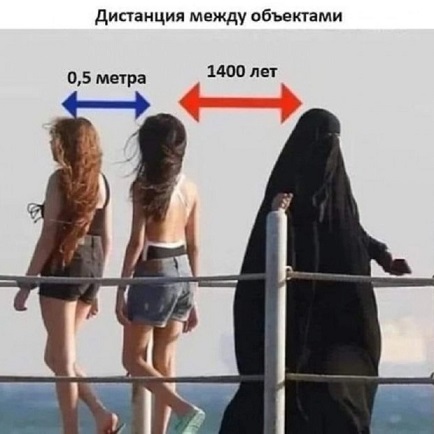 Из мира животных: СМИ сообщили о намерении Ирака понизить возраст согласия девочек до девяти лет