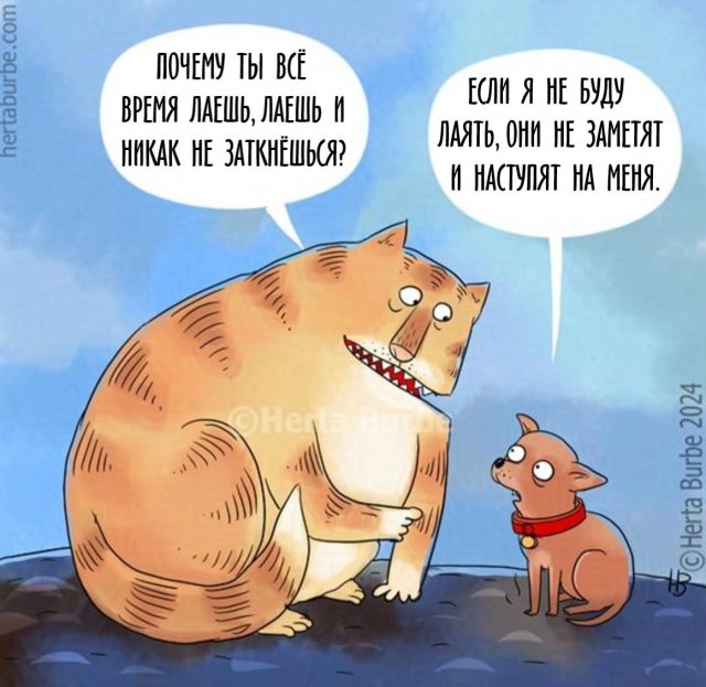 Так себе картинки 22.12.24
