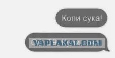 Баяны, очень баяны, но думаю улыбнёт