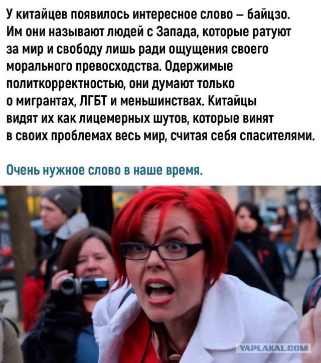 Зоошиза в атаке