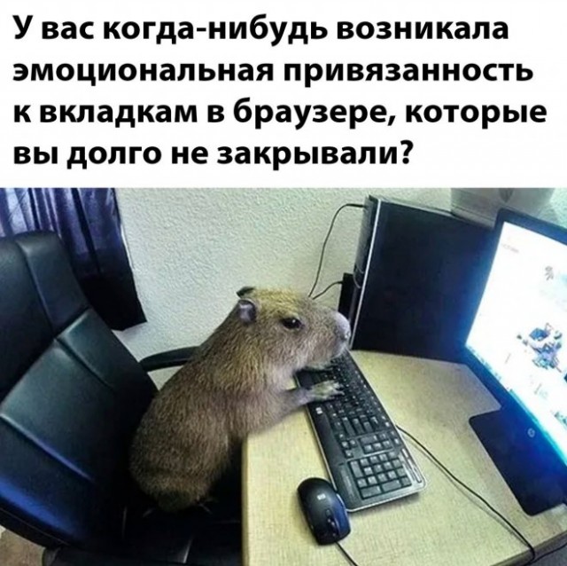 Дипломная работа книга 2 ( археологи )