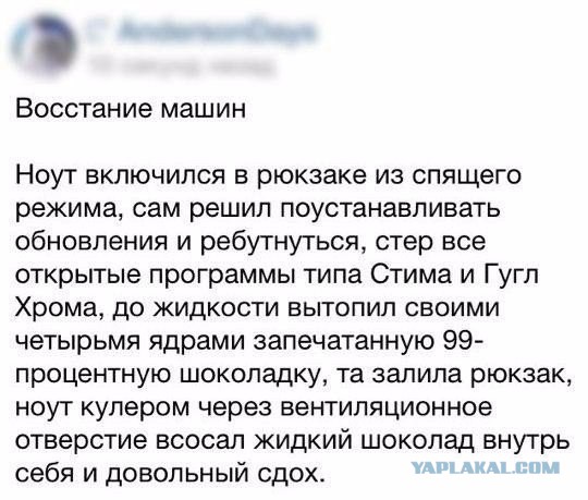 80 баянов из вацапов