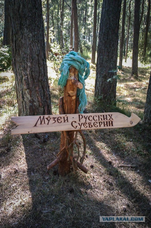 Велотур на Куршскую косу