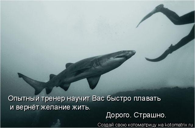 Тренер