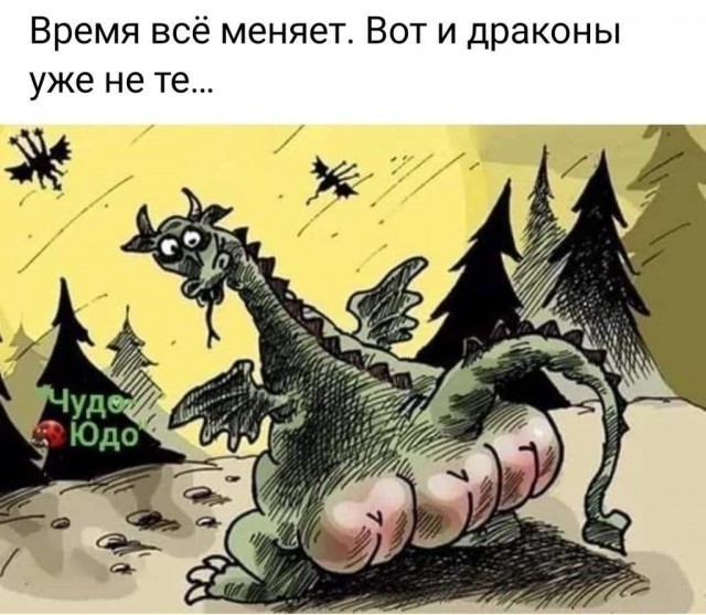 Отсутствие морально этических норм Vol.37