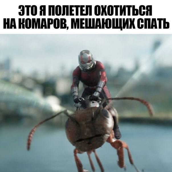 Так себе картинки 10.08.25
