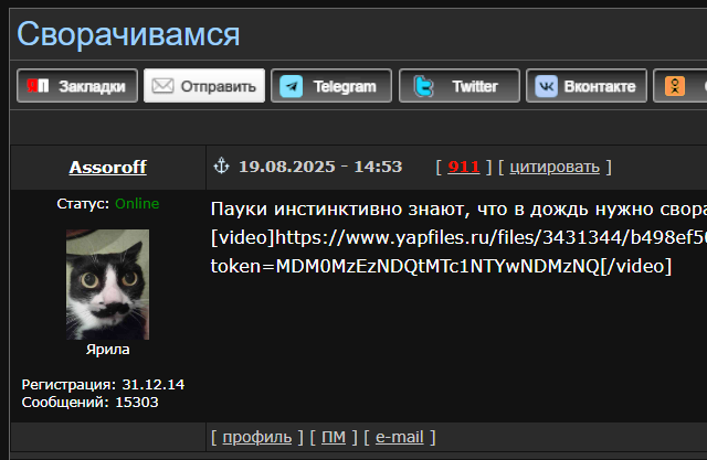 Сворачивамся
