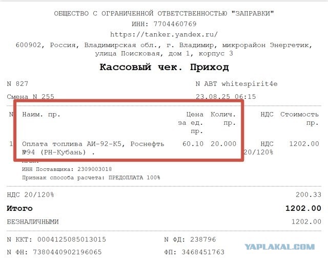 Бензин по талонам: россияне рискуют столкнуться с масштабным дефицитом топлива