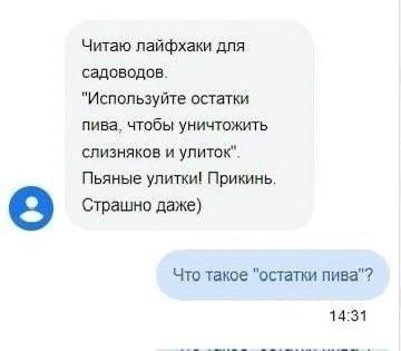 Картинки для деградации 34 (разной степени свежести)