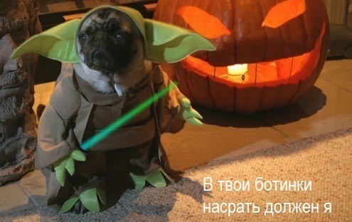 Веселое настроение в картинках (28.10.2025)