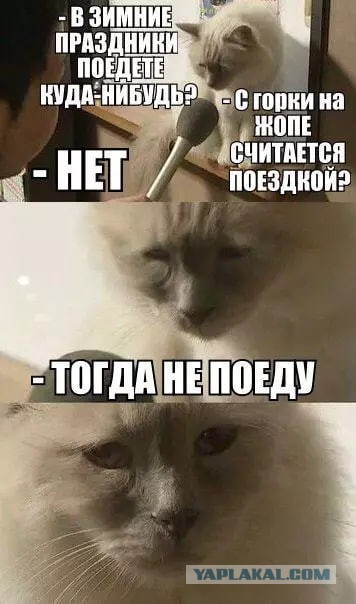 Ах лето...