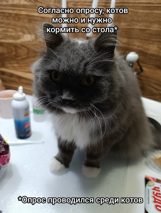Картинки для деградации 107 (разной степени свежести)