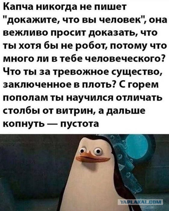 Картинки для деградации 152 (разной степени свежести)