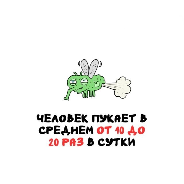 Интересные и короткие факты на все случаи жизни 19.04.26