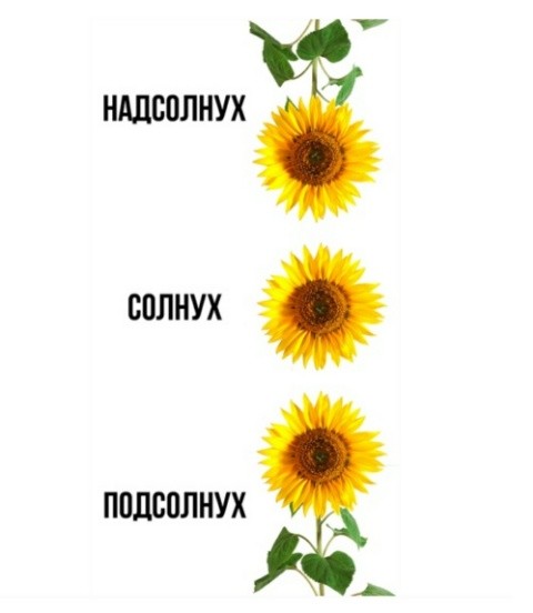 Сударыня Тударыня