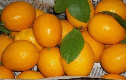 Шашлычковый босс делится сладким луковым секретом