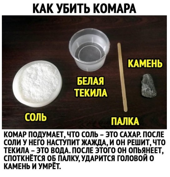 Картиночки, баянчики 25 июля