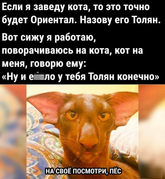 «Орик»