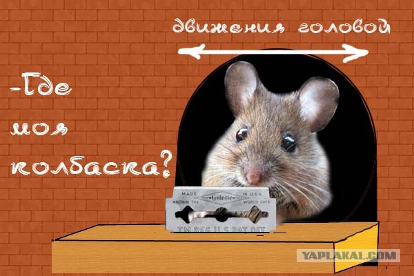 что это такое?