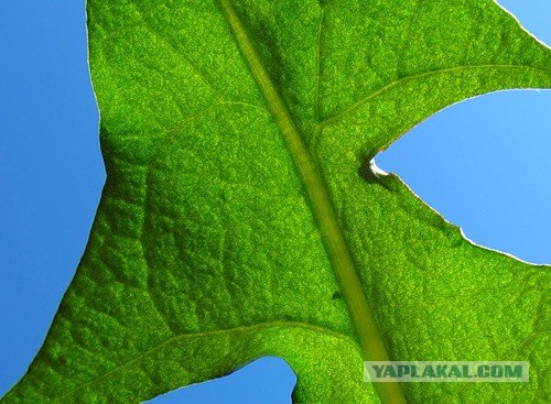 Любимые фотографии