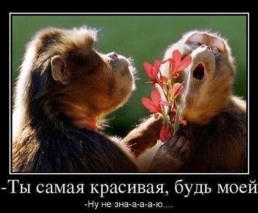 Я хочу замуж