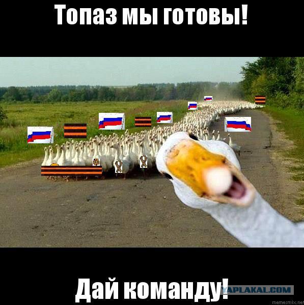 Смешные комментарии из социальных сетей (часть 5)