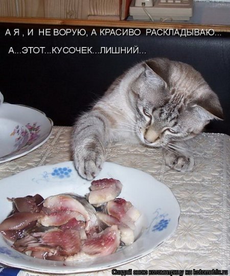 Подборка прикольных фото.