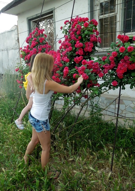 Ташкент в лицах