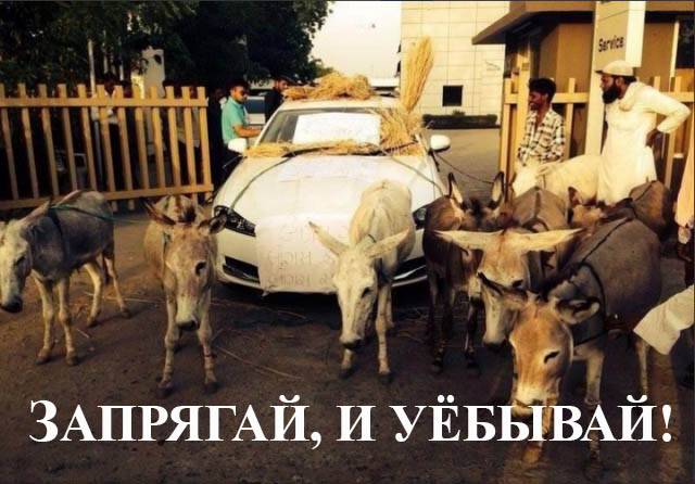 Прощание с ЯПом в картинках, 4 стадии.
