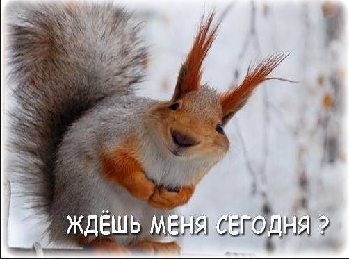 Отходной