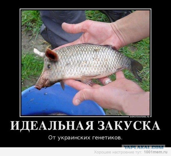 Рыбалка не удалась.